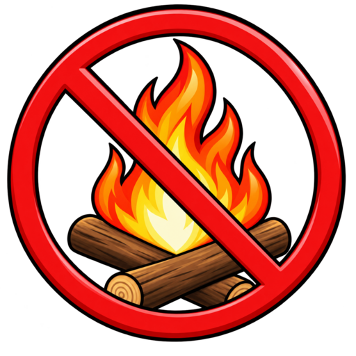 No Burnswick logo